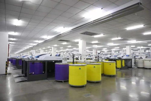 天之華集團(tuán)獲授國家渦流紡紗線產(chǎn)品開發(fā)基地，推動(dòng)紡織產(chǎn)業(yè)創(chuàng)新升級